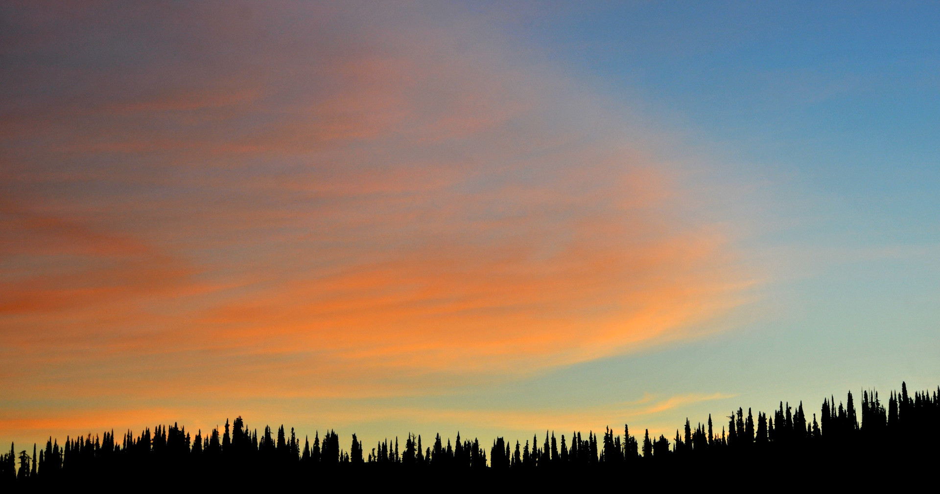 It’s Only A Flesh Wound